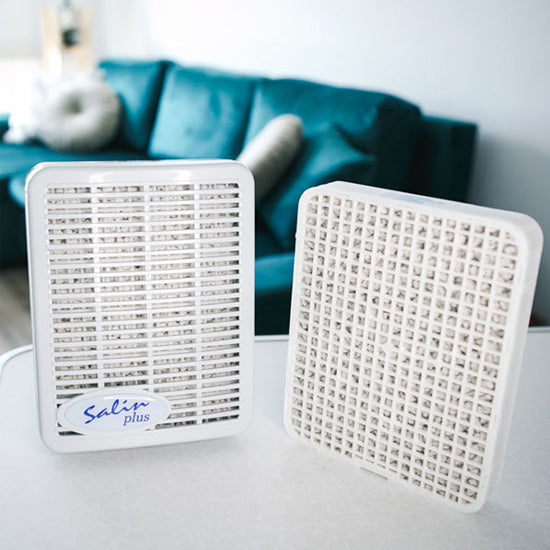 Salin Plus Salt Air Purifier for Home