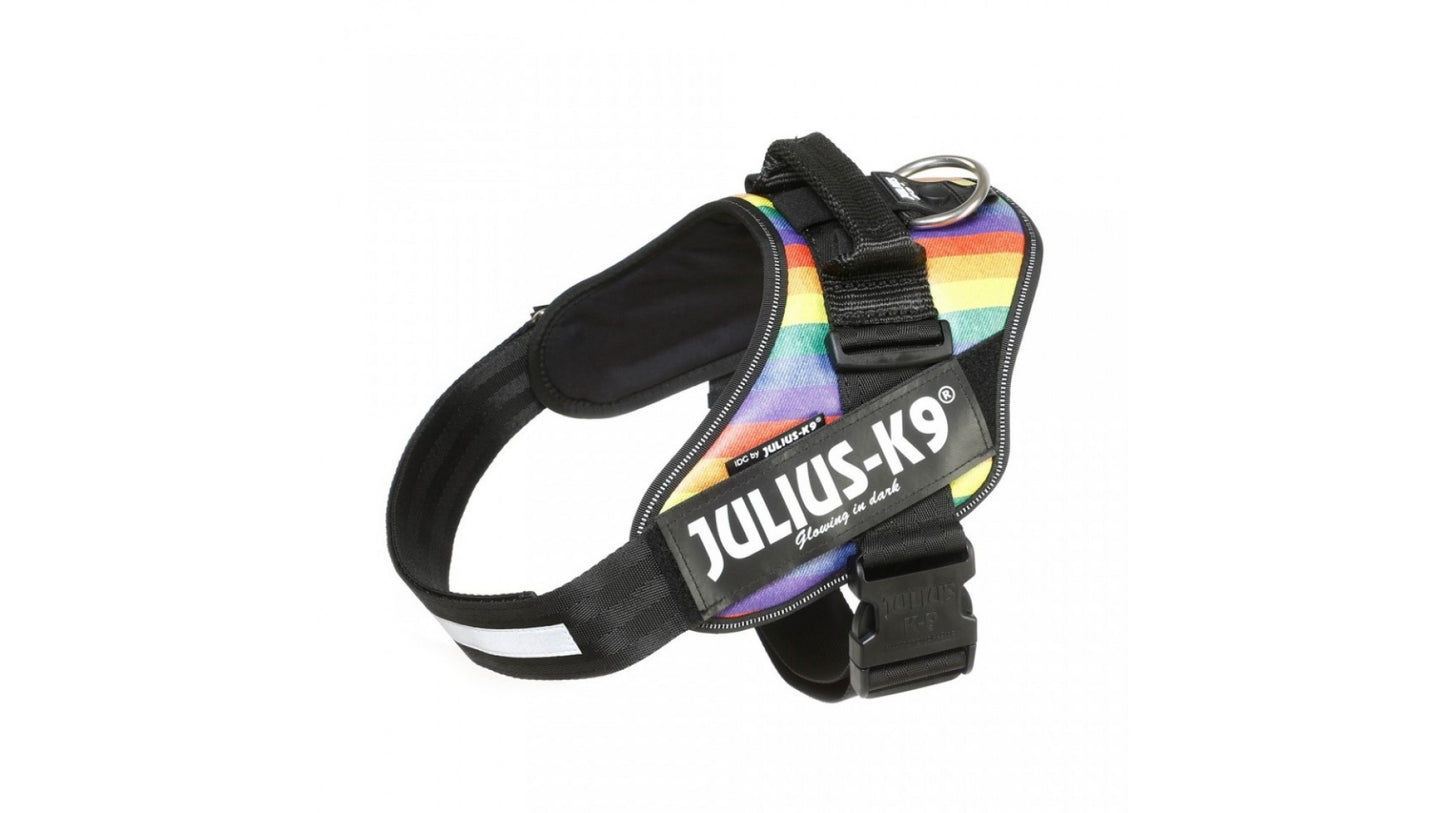 IDC Power Dog Harness Julius K9, Rainbow / Pettorina Julius k9 per cani - Pet Shop Luna