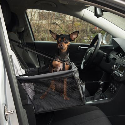 BOOSTER -Car cage for PETS- l 44 x L 38 x î 35 cm