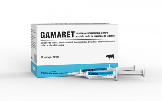 GAMARET // Intramammary antibiotic //Cattle