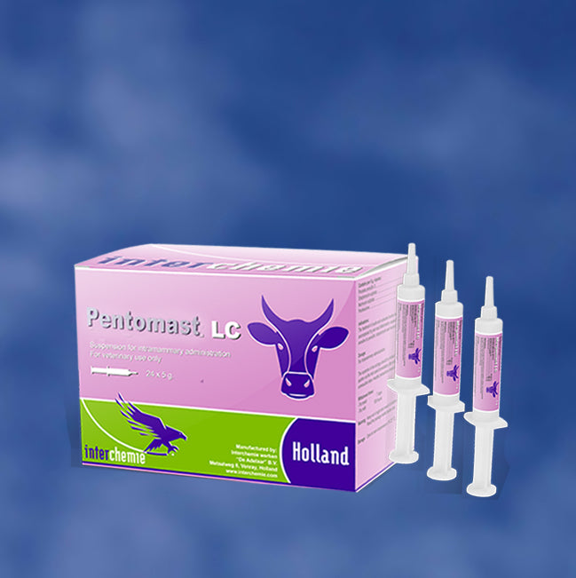 Pentomast LC 5G// mastitis/IM syringes//Procaine benzylpenicillin, Streptomycin sulfate, Neomycin sulfate, Prednisolone