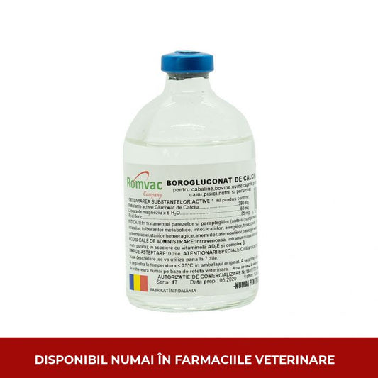 CALCIUM BOROGLUCONATE// BOROGLUCONATO DI CALCIO//  Cavalli, bovini, pecore, capre, maiali, cani, gatti, lontre e piccioni// Horses, cattle, sheep, goats, pigs, dogs, cats, otters and pigeons