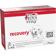 Pet Way RECOVERY 100 TAB // strengthening the immune system in dogs / rafforzare il sistema immunitario nei cani