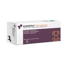 CLAVUCILL 250 MG // Amoxicillin + Clavulanic acid // Dogs / Cani