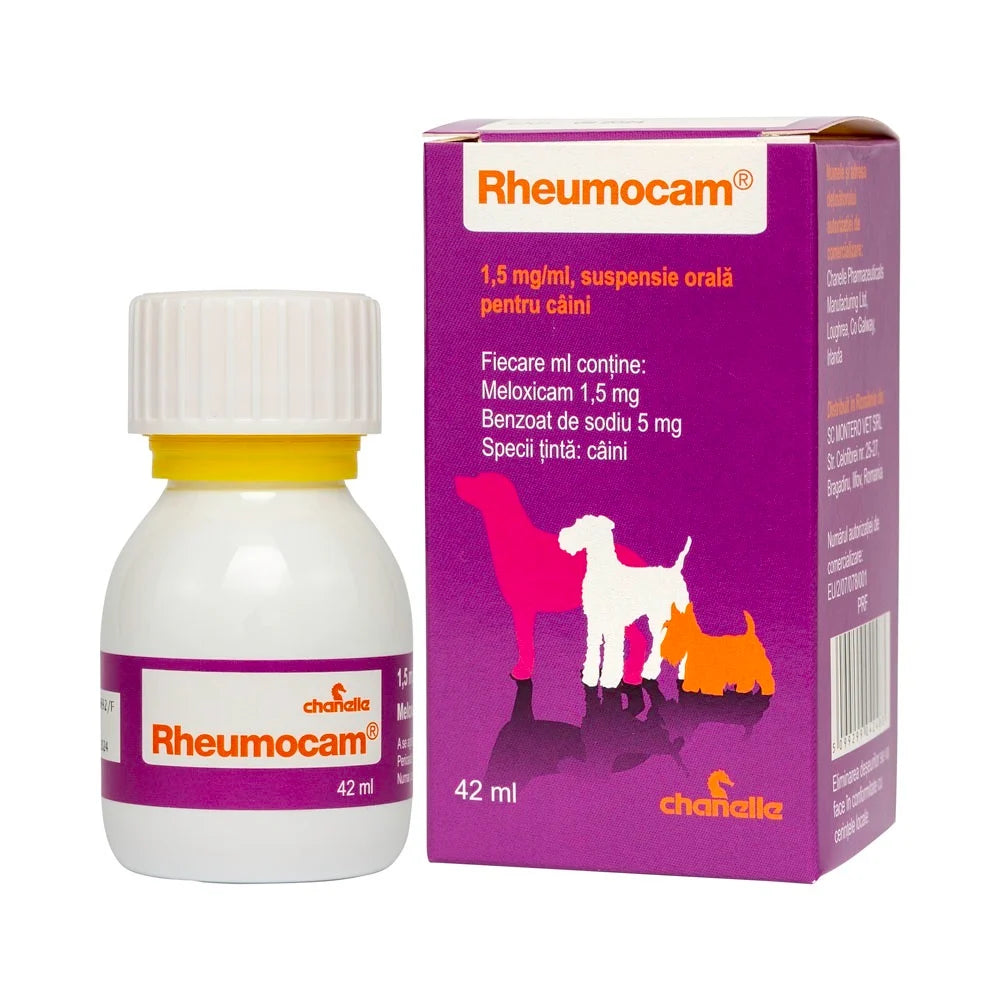 RHEUMOCAM 1.5MG/ML - 42 ML // Meloxicam // dogs