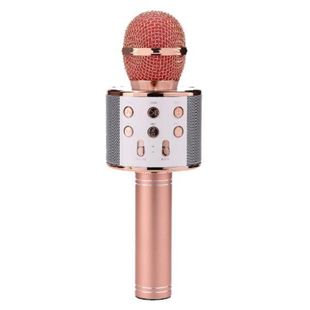 Portable Wireless Karaoke Microphone- USB Charging - Pet Shop Luna