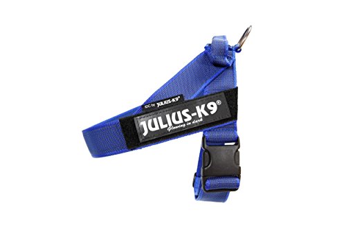 Julius-K9, 16IDC-0-B-2015, IDC Color & Gray Belt Harness for Dogs, Size: 0, Blue-Gray - Pet Shop Luna