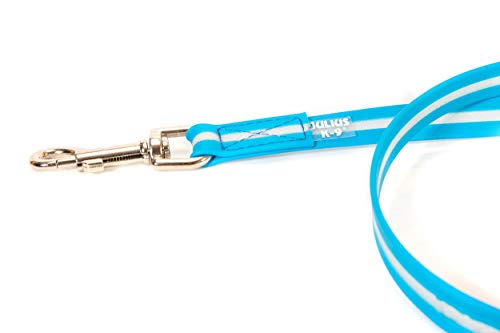 Julius-K9 IDC-Lumino Phosphorescent Leash - Pet Shop Luna