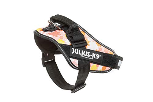 Julius-K9, 16IDC-PNF-0, IDC Powerharness, dog harness, Size: M/0, Pink with flowers - Pet Shop Luna