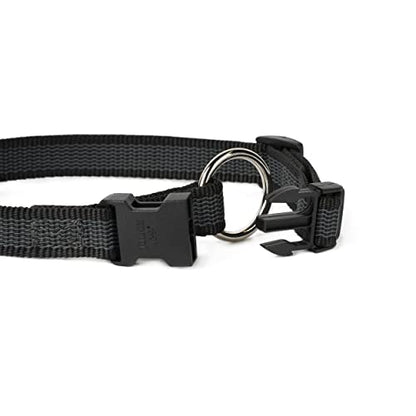 Julius k9 collars for dogs - Pet Shop Luna