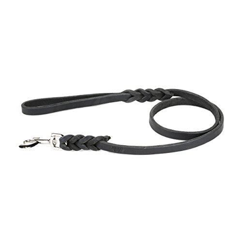 JULIUS K-9 Braided Leather Leash with Handle, 16 mm x 1.2 m - Pet Shop Luna