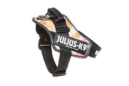 Julius-K9, 16IDC-PNF-1, IDC Powerharness, dog harness, Size: 1, Pink with flowers - Pet Shop Luna