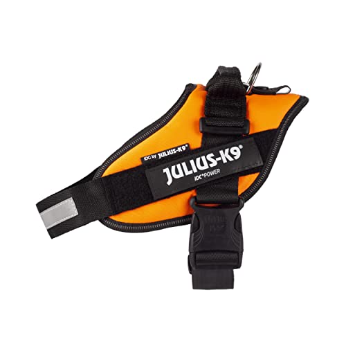 Julius-K9, 16IDC-BG-B1, IDC Powerharness for Dogs - Pet Shop Luna