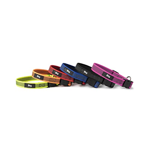 Julius k9 collars for dogs - Pet Shop Luna