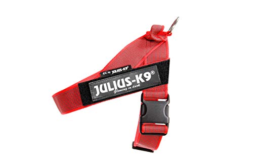 Julius-K9, 16IDC-0-R-2015, IDC Color & Gray Belt Harness for Dogs, Size: 0, Red-Gray - Pet Shop Luna