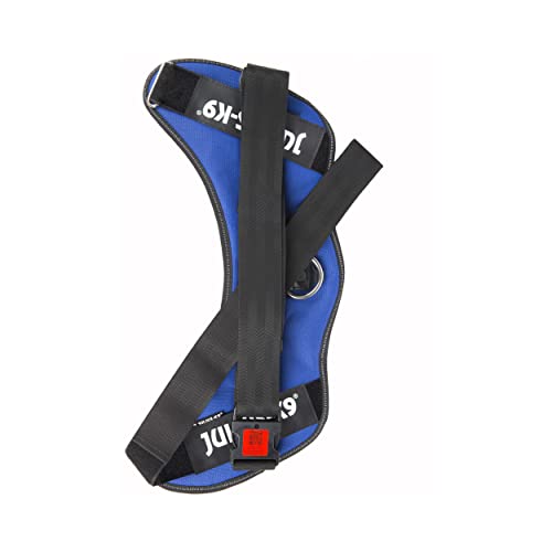 Julius-K9 | IDC-Powerharness | Size: 4 | Blue - Pet Shop Luna