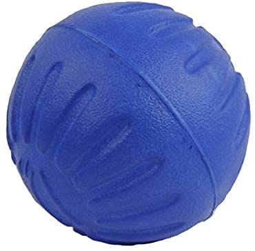 Julius K9 59845 Fantastic Durafoam Ball – 2, 5