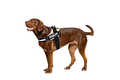 Julius-K9, 16IDC-PNF-1, IDC Powerharness, dog harness, Size: 1, Pink with flowers - Pet Shop Luna