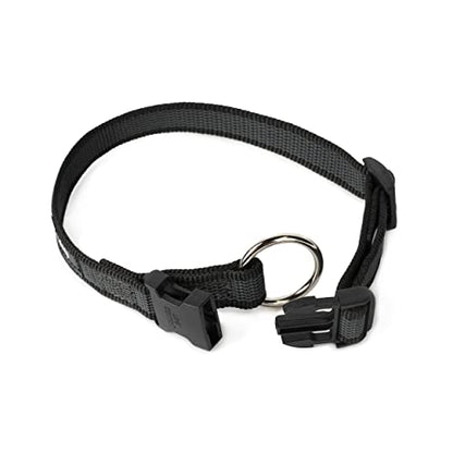 Julius k9 collars for dogs - Pet Shop Luna