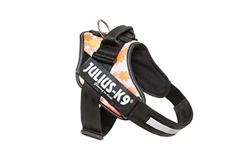 Julius-K9, 16IDC-PNF-1, IDC Powerharness, dog harness, Size: 1, Pink with flowers - Pet Shop Luna