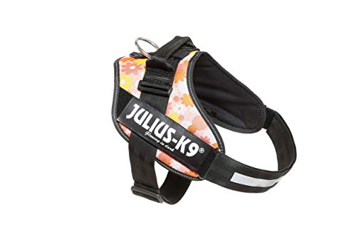 IDC Powerharness, Size: XL/2, Pink with flowers - Pet Shop Luna