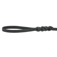 JULIUS K-9 Braided Leather Leash with Handle, 16 mm x 1.2 m - Pet Shop Luna
