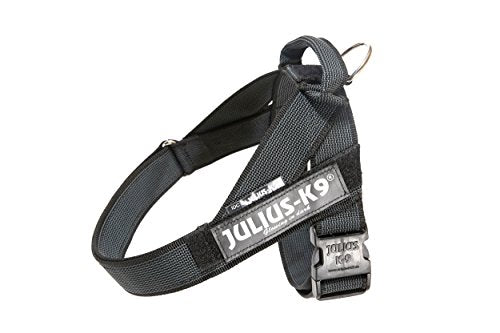 IDC Color & Gray Belt Harness - Pet Shop Luna