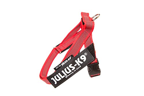 Julius-K9, 16IDC-M-R-2015, IDC Color & Gray Belt Harness for Dogs, Size: Mini, Red-Gray - Pet Shop Luna