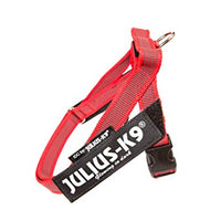 Julius-K9 16IDC-M-R-2015 IDC Color & Gray Belt Harness for Dogs, Size Mini, Red-Gray - Pet Shop Luna