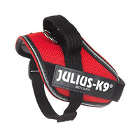 Julius-K9 Dog Harness, Red, XS Mini - Pet Shop Luna
