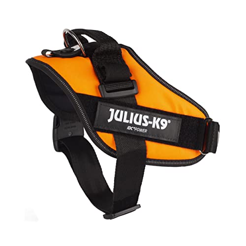 Julius-K9, 16IDC-BG-B1, IDC Powerharness for Dogs - Pet Shop Luna