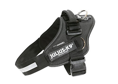 Julius-K9 16220-IDC P IDC PowerHarness with Side Rings for Dogs - Pet Shop Luna