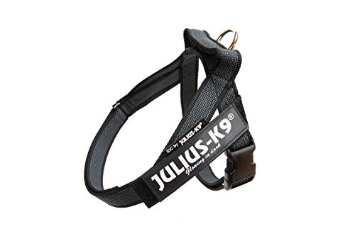 IDC Color & Gray Belt Harness - Pet Shop Luna