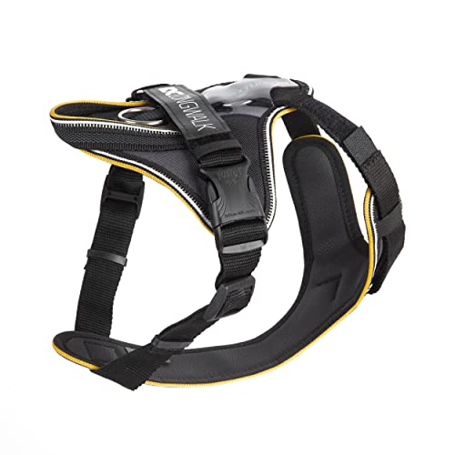 IDC Longwalk Y-Harness - Pet Shop Luna