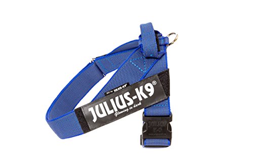 IDC Color & Gray Belt Harness - Pet Shop Luna