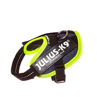 Julius-K9, 16IDC-FARNE-B2, IDC Powerharness, dog harness, Size: Baby 2, Jeans with neon edge - Pet Shop Luna