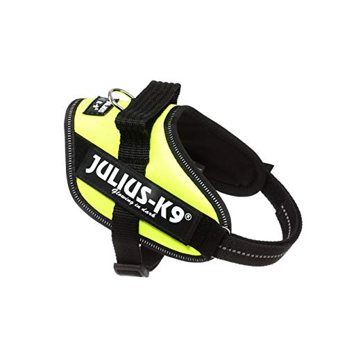 Julius-K9, 16IDC-FNE-MM, IDC Powerharness, dog harness, Size: XS/Mini-Mini, UV Neon Green - Pet Shop Luna