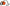flexi Guinzaglio Xtreme – Tape Leash Orange – S - Pet Shop Luna