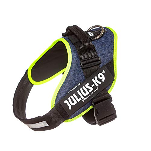 Julius-K9, 16IDC-FARNE-2, IDC Powerharness, dog harness, Size: 2, Jeans with neon edge - Pet Shop Luna