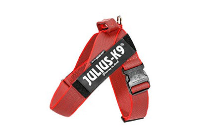 IDC Color & Gray Belt Harness - Pet Shop Luna