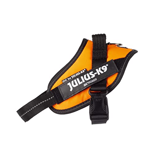 IDC Powerharness - Pet Shop Luna