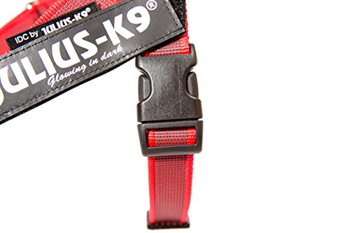 Julius-K9, 16IDC-M-R-2015, IDC Color & Gray Belt Harness for Dogs, Size: Mini, Red-Gray - Pet Shop Luna