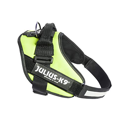 Julius k9 IDC and Powair harnesses for dogs / pettorina per cani - Pet Shop Luna