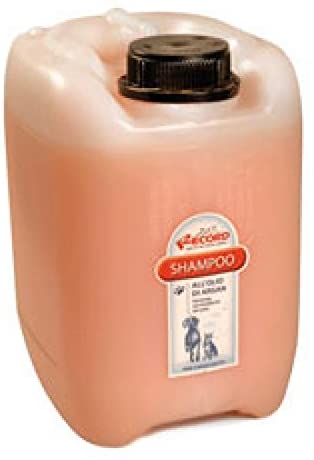 RECORD * SHAMPOO ALL'OLIO DI ARGAN 5lt. 10049 - Pet Shop Luna