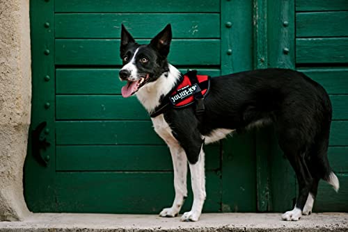 Julius-K9 IDC Powair Harness, Size: XL, Red - Pet Shop Luna