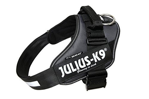 IDC Powerharness - Pet Shop Luna