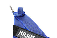 Julius-K9, 16IDC-0-B-2015, IDC Color & Gray Belt Harness for Dogs, Size: 0, Blue-Gray - Pet Shop Luna
