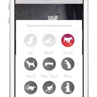 Tractive Pet-Remote Dog Clicker - Pet Shop Luna