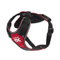 IDC Longwalk Y-Harness - Pet Shop Luna