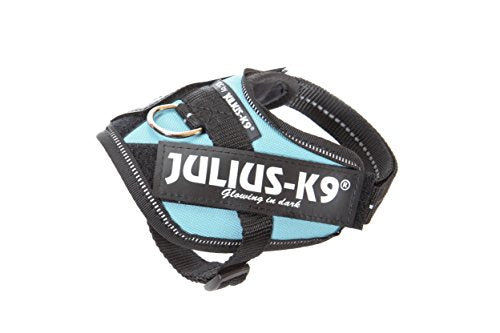 Julius-k9 IDC Cablaggio del Cane, Size: Baby 1/29-36 cm/11.5-14", Blue-Sky - Pet Shop Luna